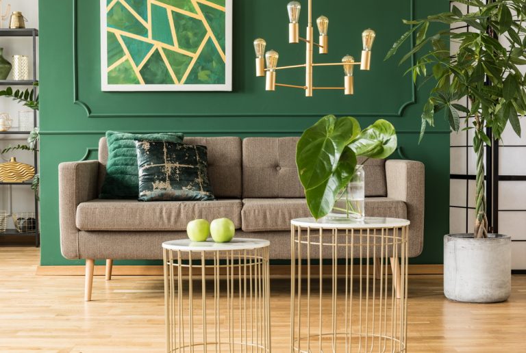Décoration moderne naturel